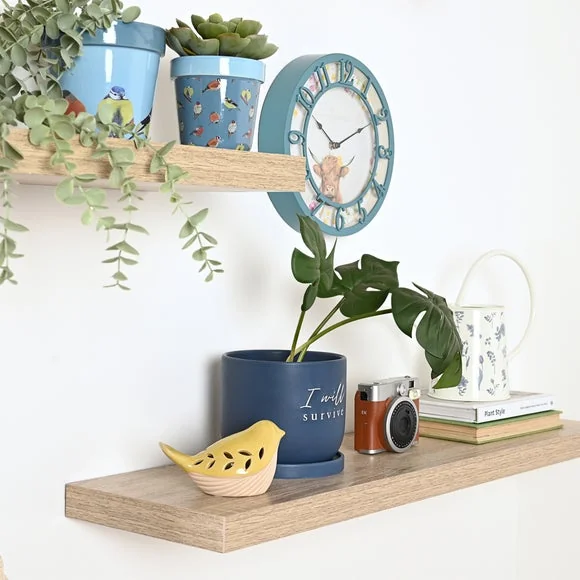 Country Living I Will Survive Ceramic Plant Pot – image 3