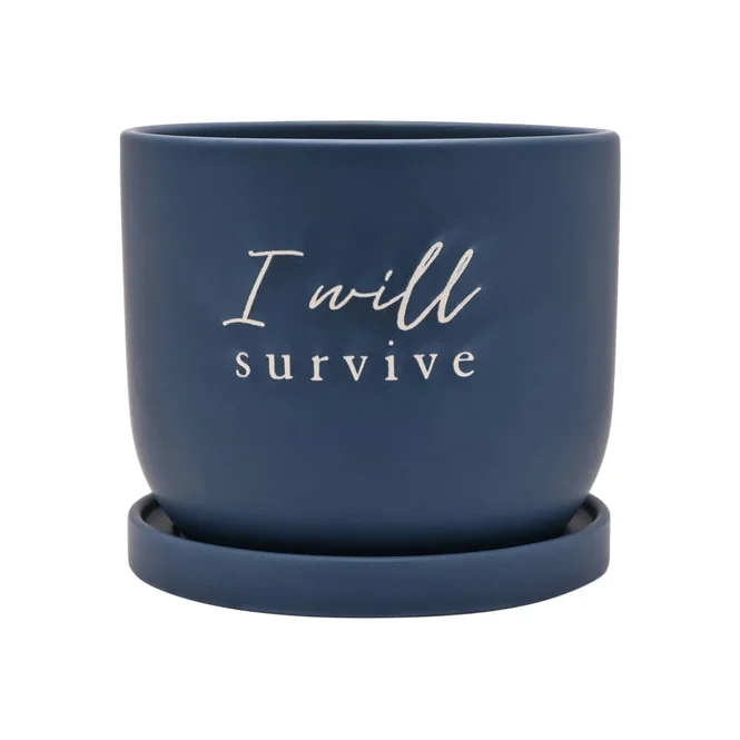 Country Living I Will Survive Ceramic Plant Pot – image 1