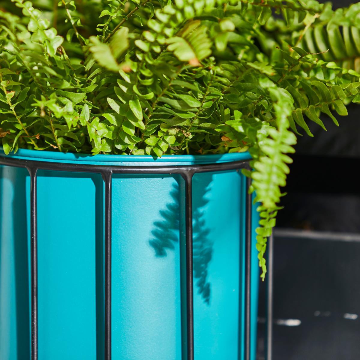Wall Hanging Black and Teal Planter MultiColoured – image 3