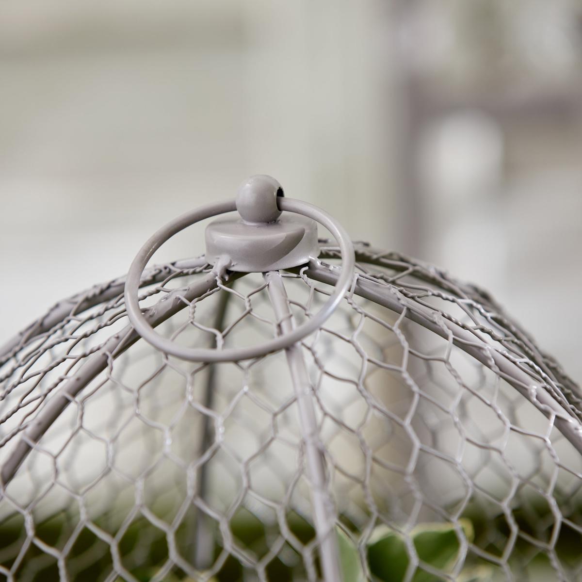 Grey Plant Cloche Grey – image 2