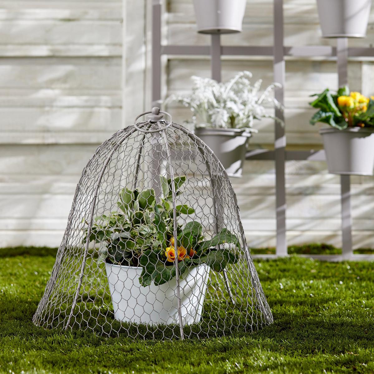 Grey Plant Cloche Grey – image 1
