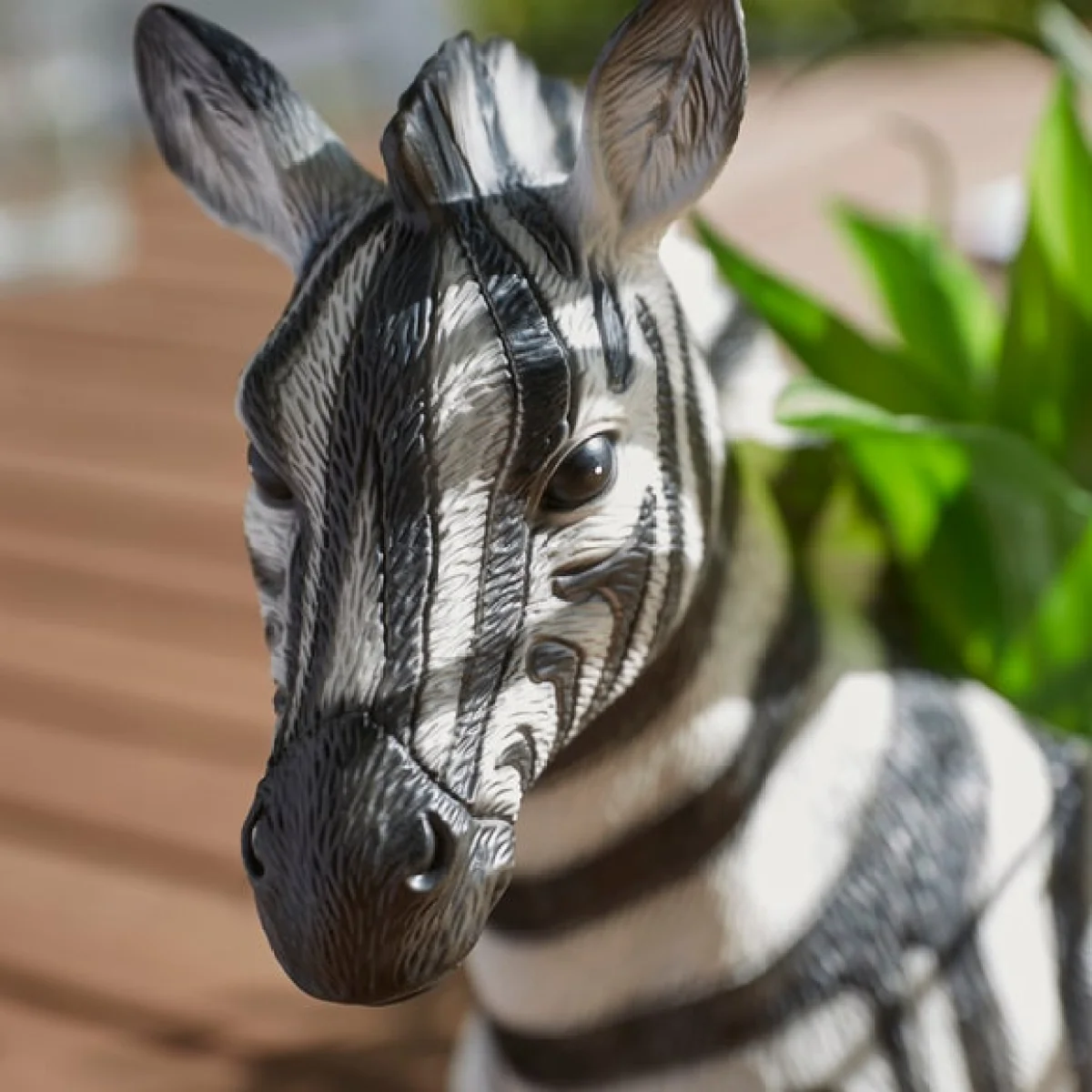 Zebra Plant Pot – image 2