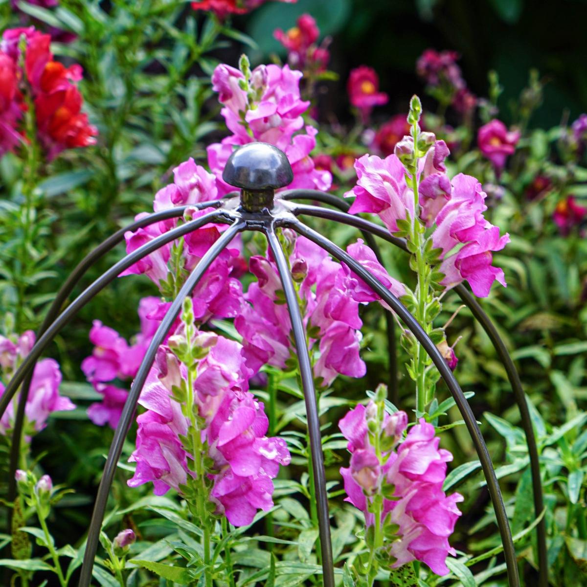 Outdoor Plant Support Zinc – image 4