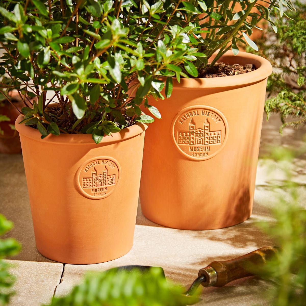 Terracotta Medium Pot Terracotta – image 2