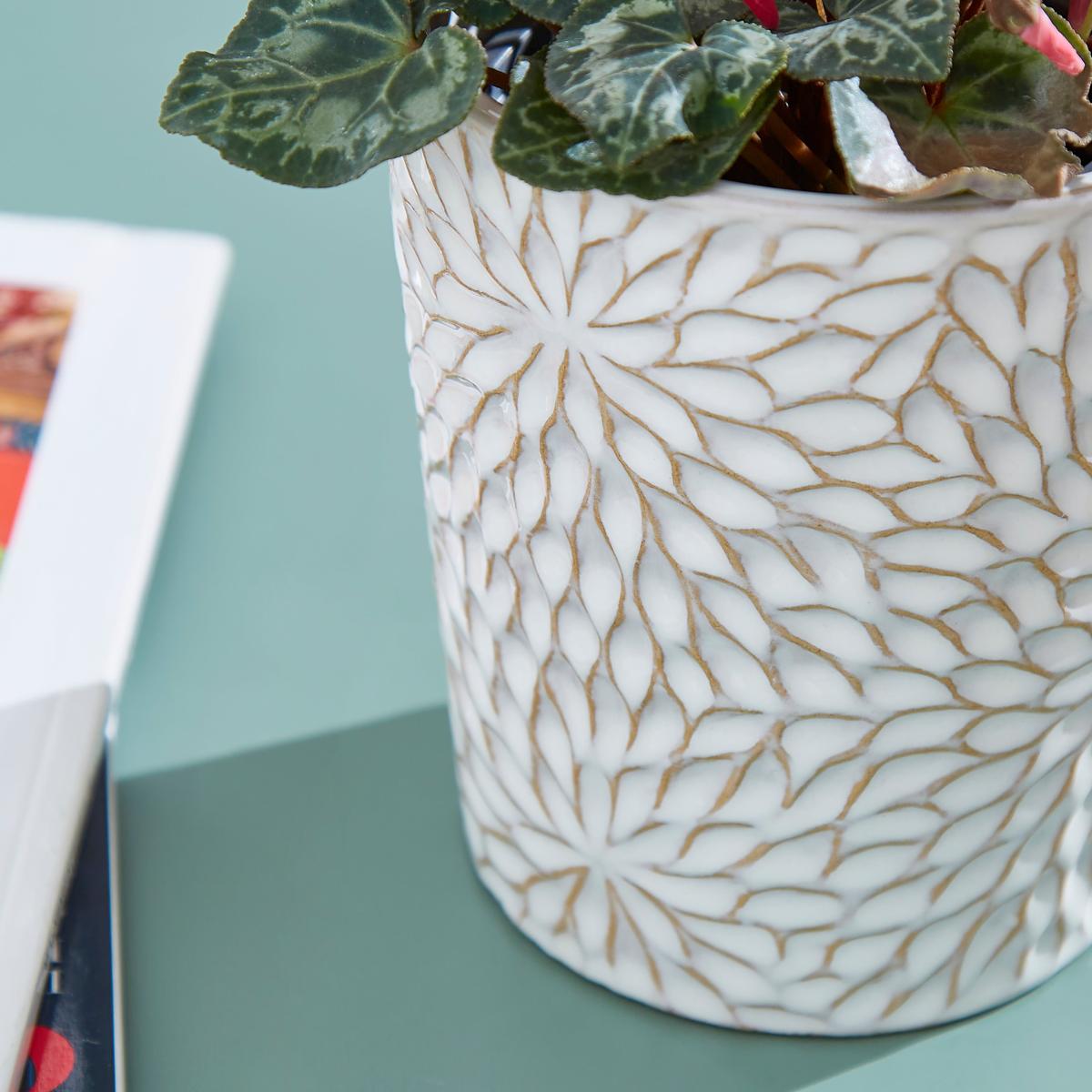 Taylor's Bulbs Ceramic Patterned Plant Pot with Oxalis Bulbs Kit White – image 2