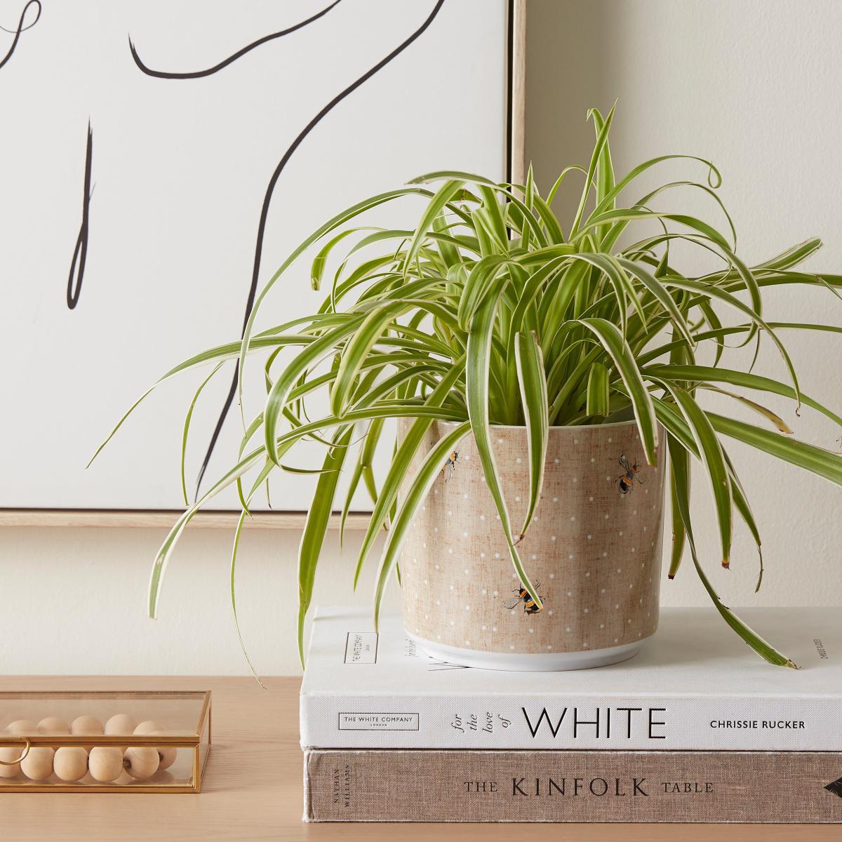 Ceramic Bee Plant Pot MultiColoured – image 1