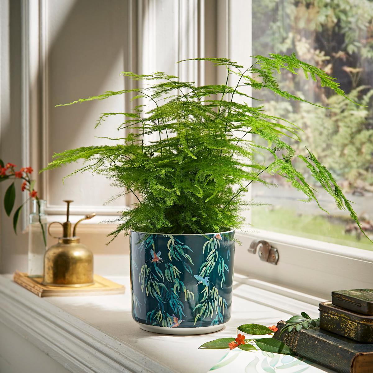 Kingfisher Plant Pot Large MultiColoured – image 1