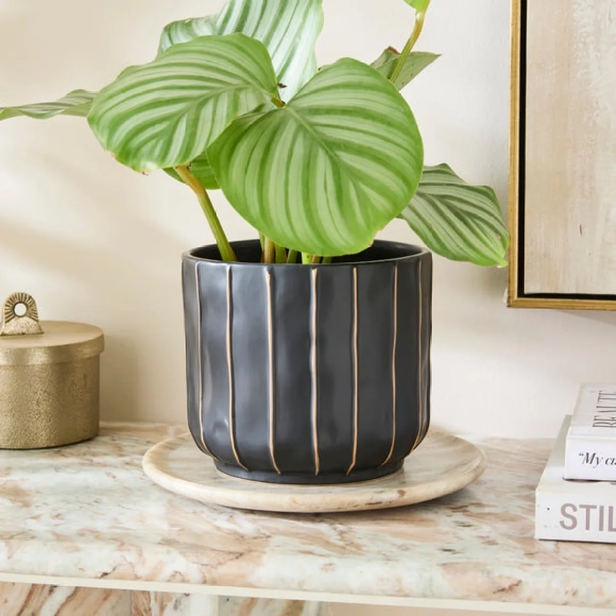 Black & Brown Striped Ceramic Plant Pot – image 2