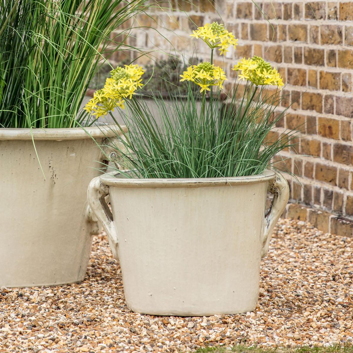 Riley Planter Oatmeal – image 1