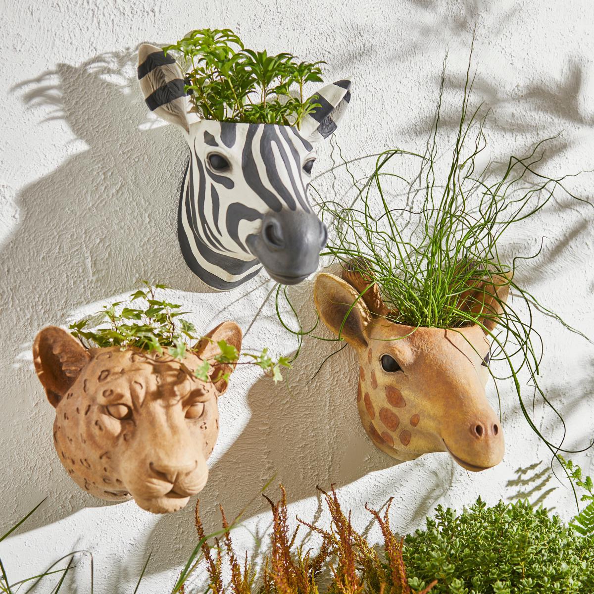 Zebra Wall Planter Black and white – image 3