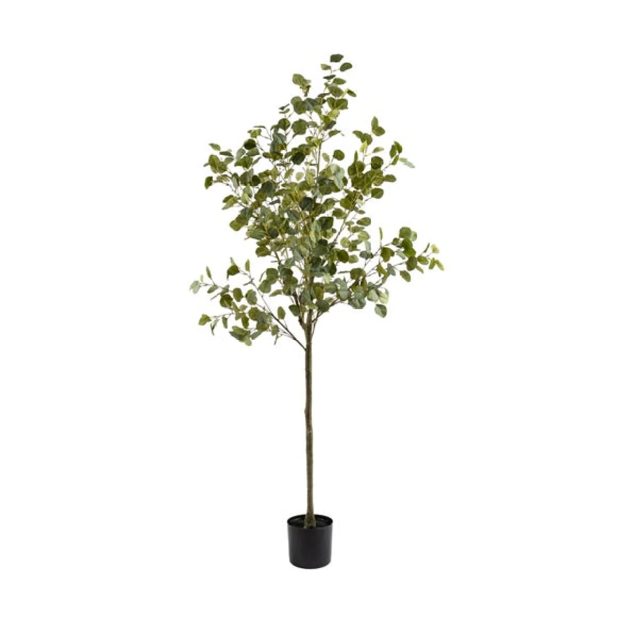 Artificial Eucalyptus Tree in Black Plastic Plant Pot – image 4