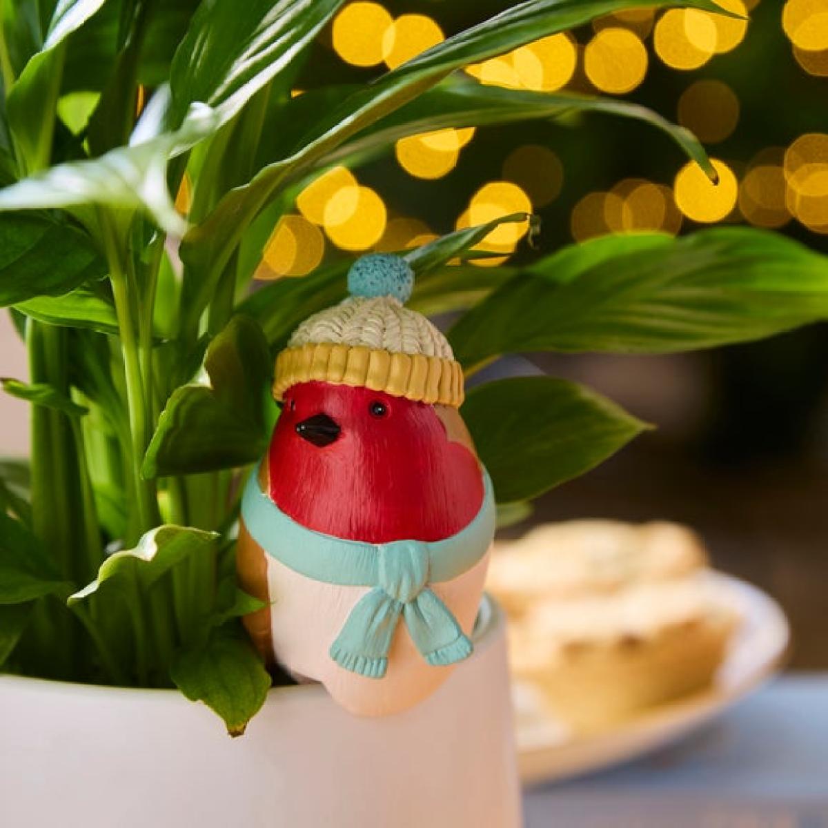 Rowan the Robin Plant Pot Hanger – image 1