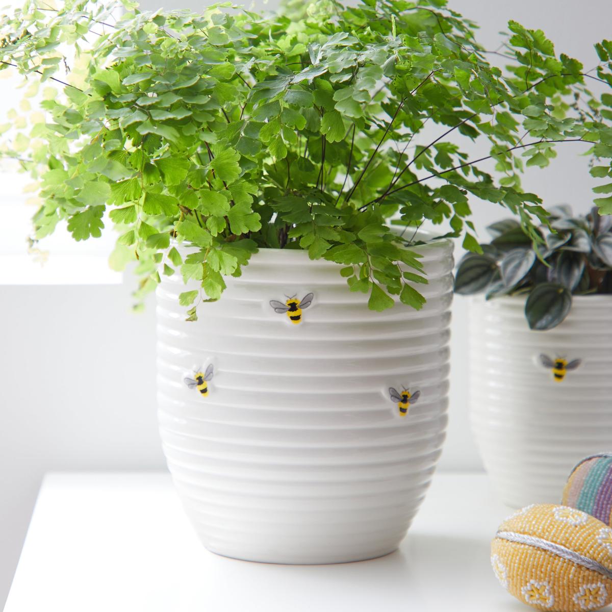 Large Bee 17cm Plant Pot White – image 1