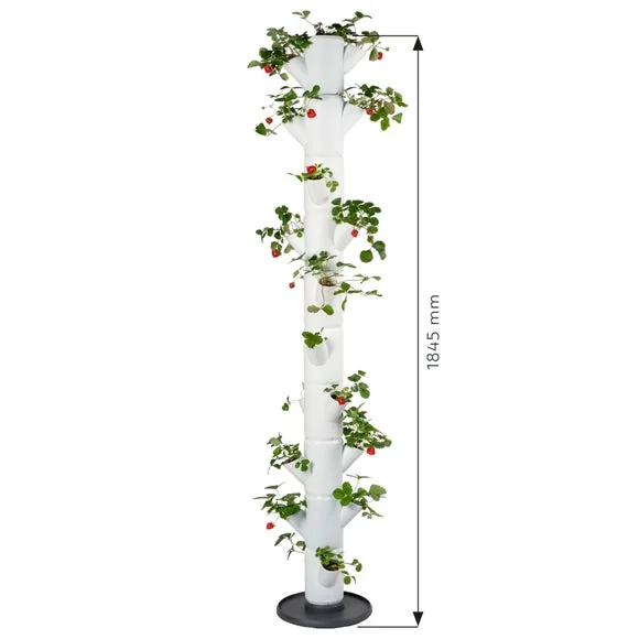 Gusta Garden Sissi Strawberry Infinity 10 Level Strawberry Tree Planter – image 3