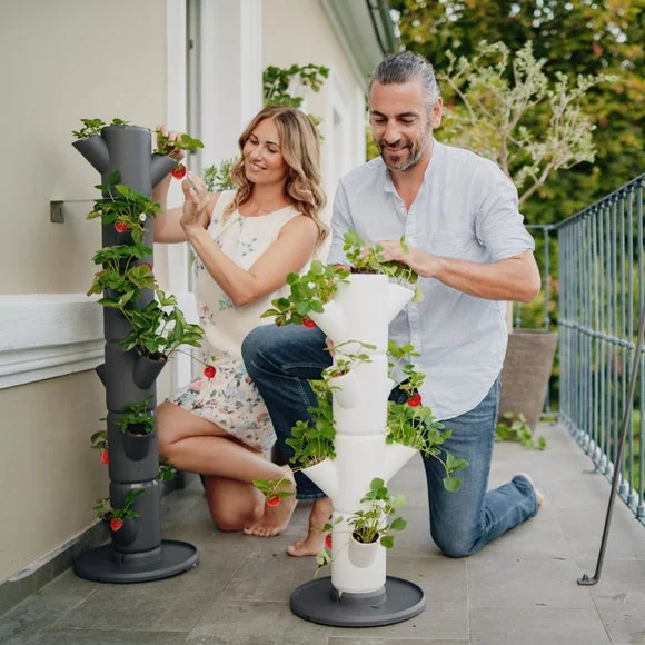 Gusta Garden Sissi Strawberry Classic 6 Level Strawberry Tree Planter – image 3