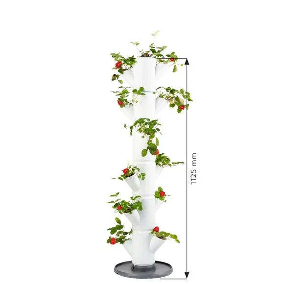 Gusta Garden Sissi Strawberry Classic 6 Level Strawberry Tree Planter – image 4