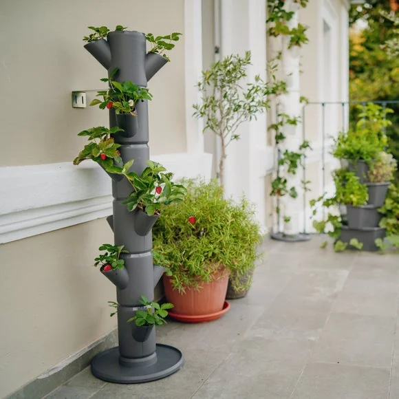 Gusta Garden Sissi Strawberry Classic 6 Level Strawberry Tree Planter – image 1