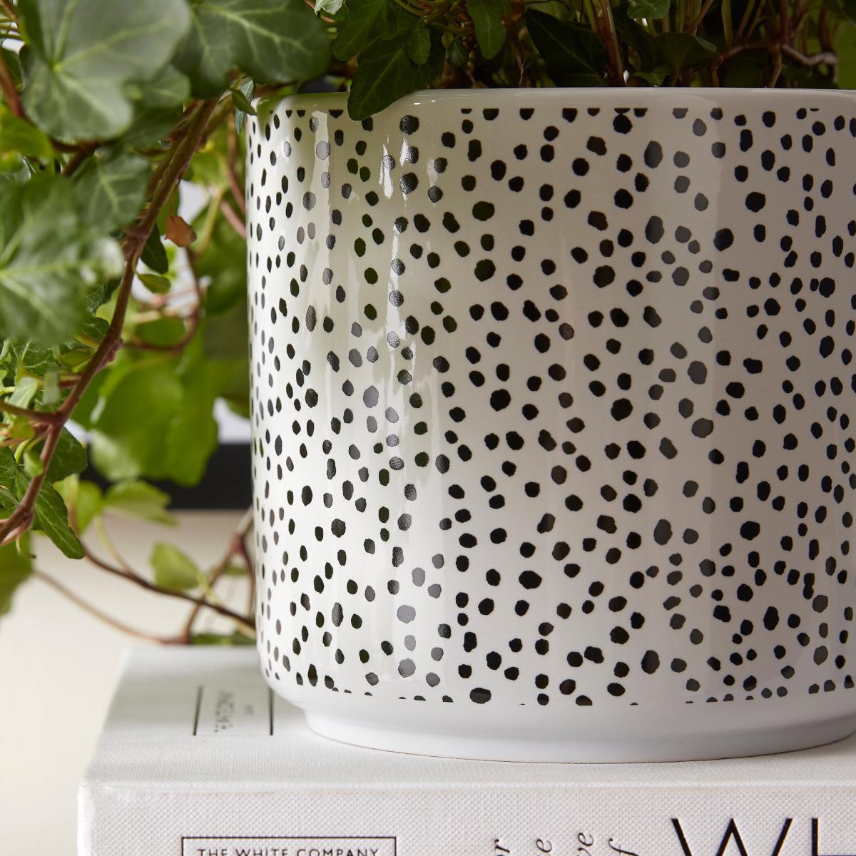 Ceramic Dotty Plant Pot MultiColoured – image 2
