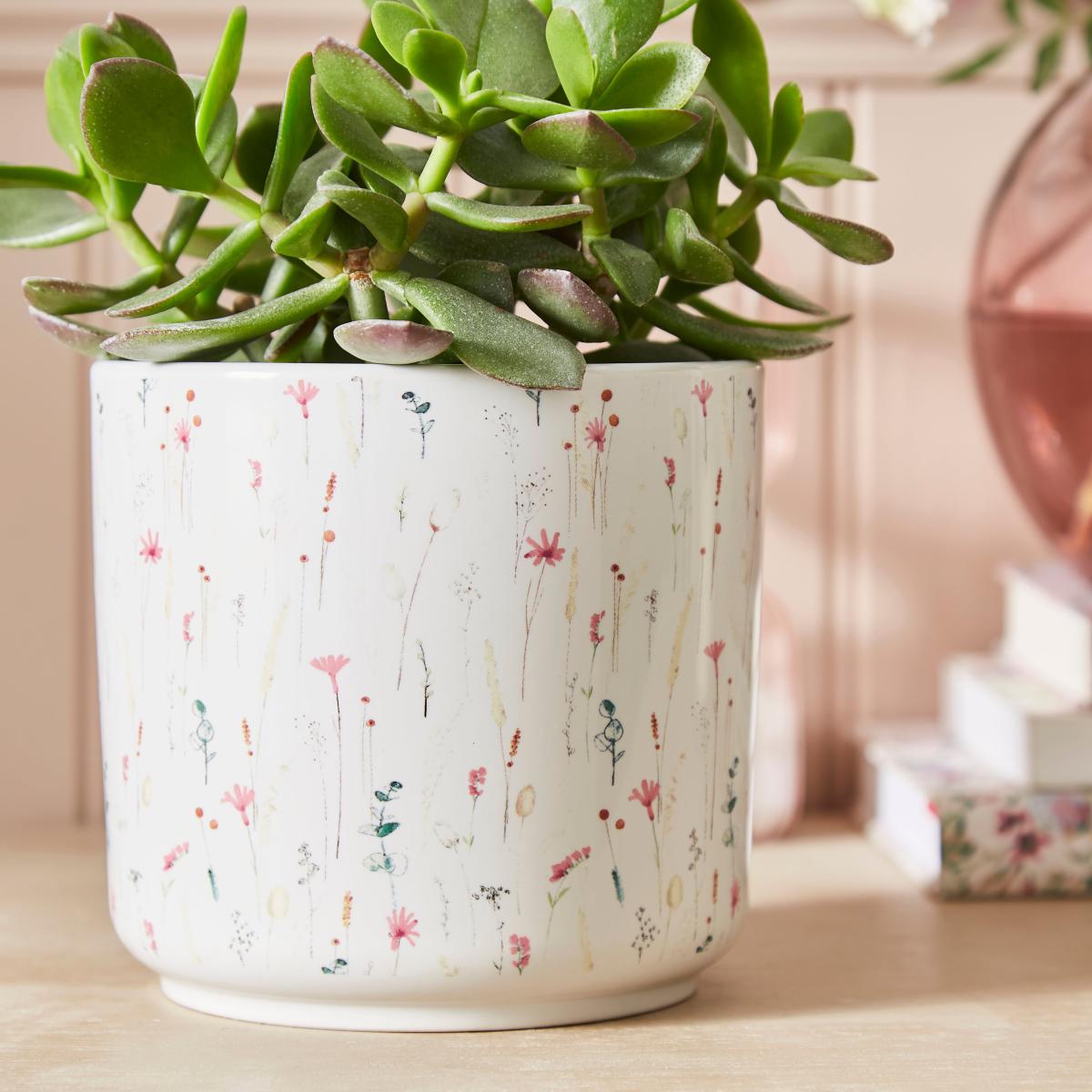 Dried Flowers Plant Pot MultiColoured – image 2