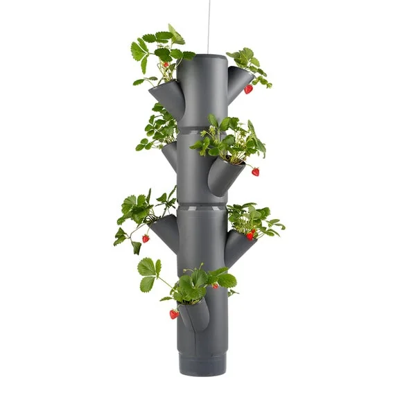 Gusta Garden Sissi Strawberry Hanging 4 Level Strawberry Tree Planter – image 2