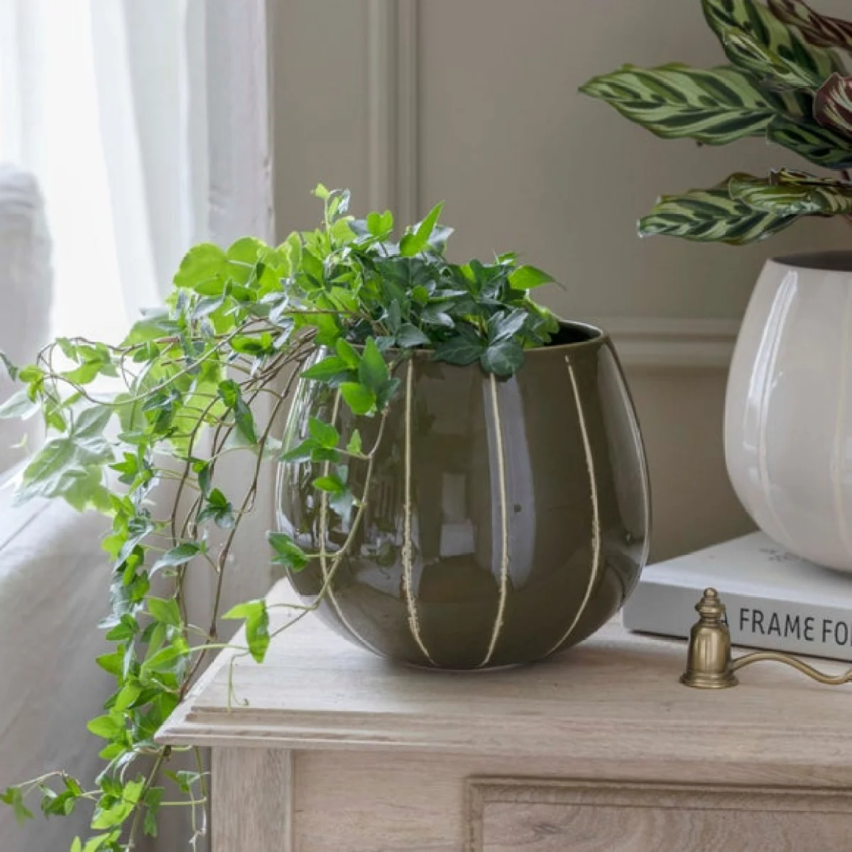Nova Wax Relief Planter Green – image 2