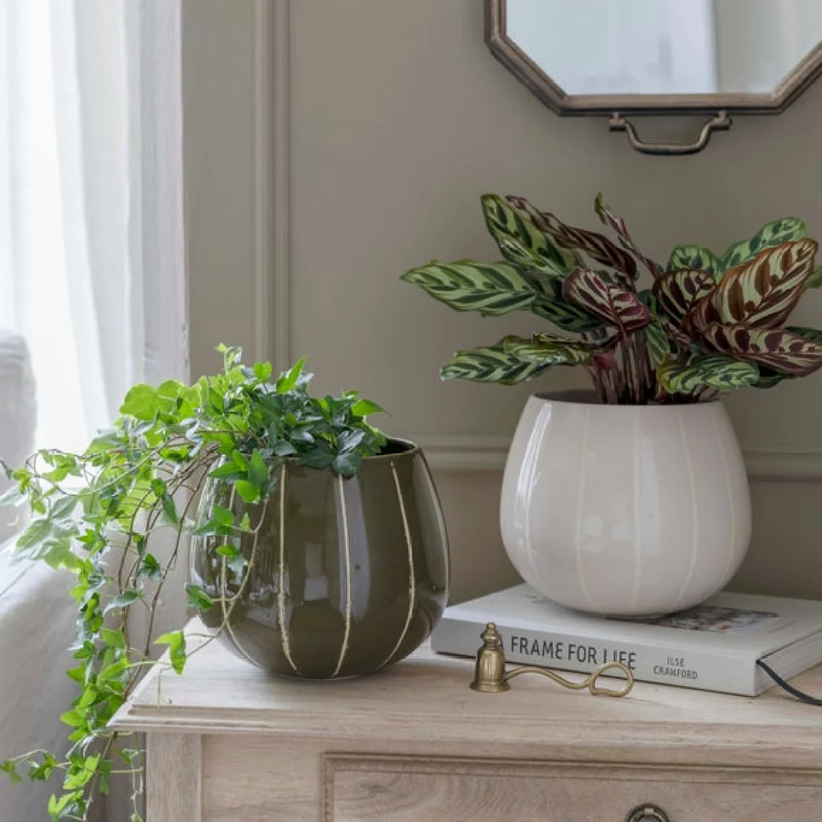 Nova Wax Relief Planter Green – image 5