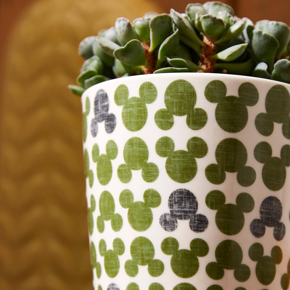 Disney Mickey Small Printed Plant Pot Green/White – image 2