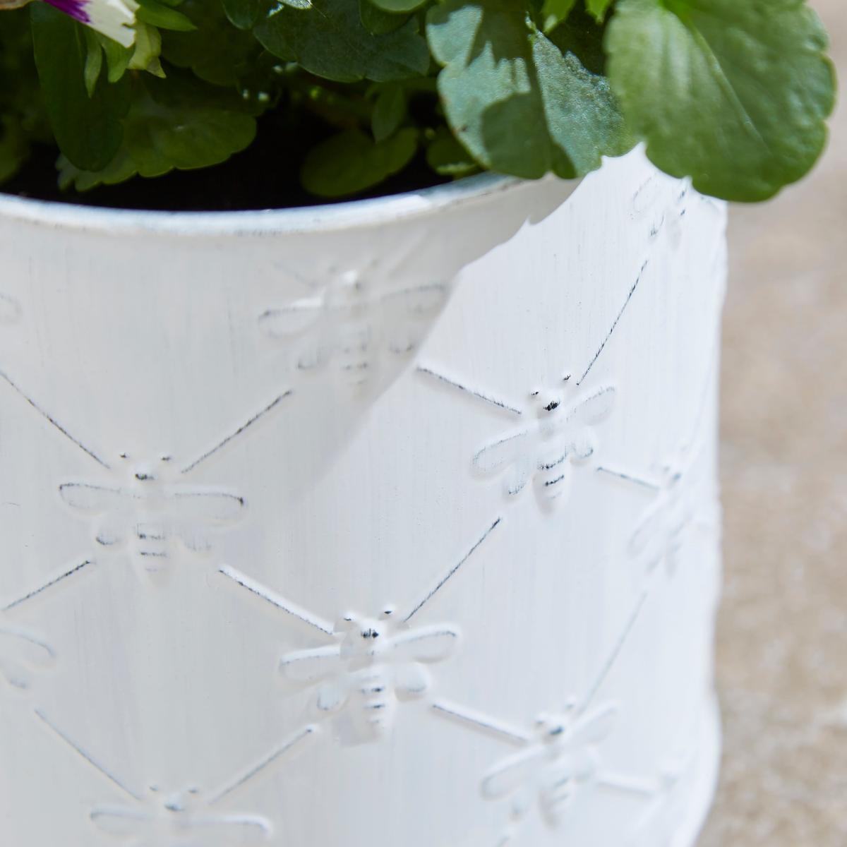 Taylor's Bulbs Zinc Bee Planter with Anemone Kit White – image 2