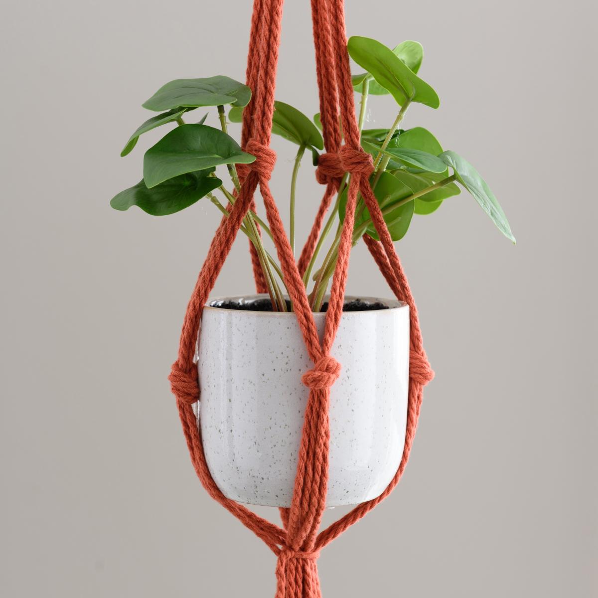 Macrame Triple Plant Hanger Ginger – image 2