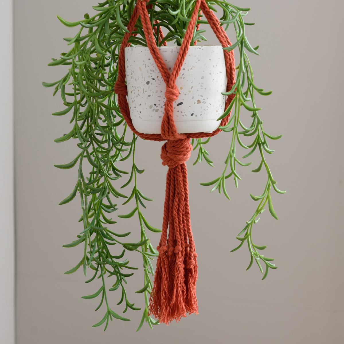 Macrame Triple Plant Hanger Ginger – image 4