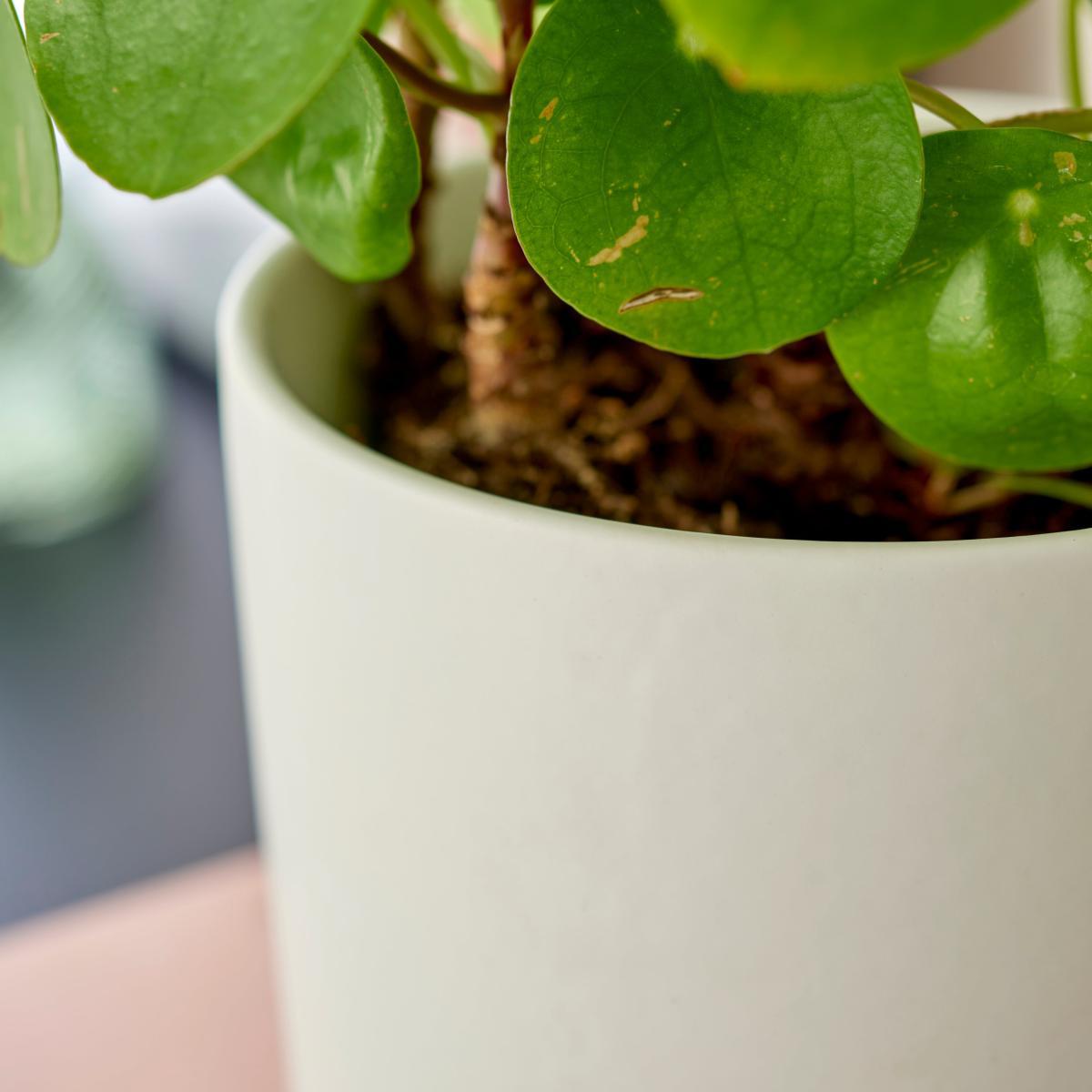 White Ceramic Plant Pot White – image 2