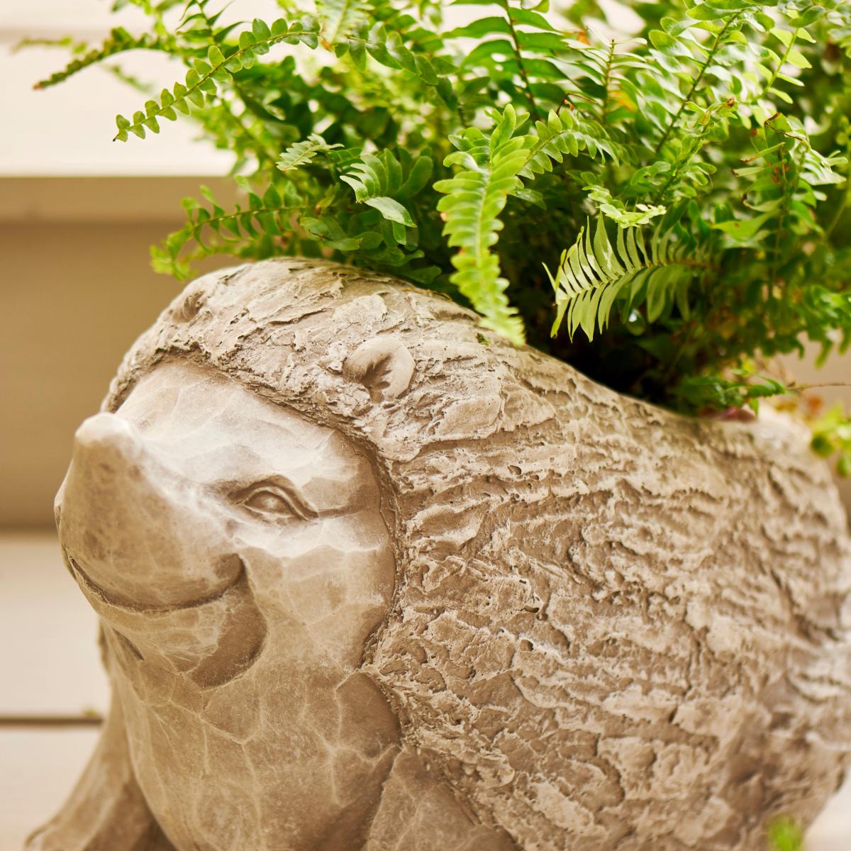 Fibre Clay Hedgehog Planter Beige – image 2