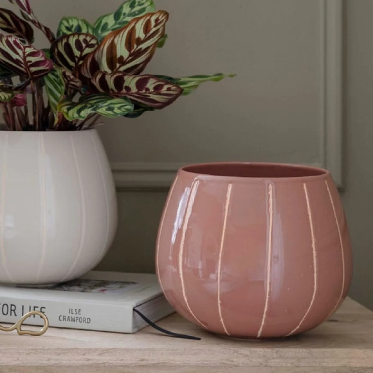 Nova Wax Relief Planter Rose – image 2