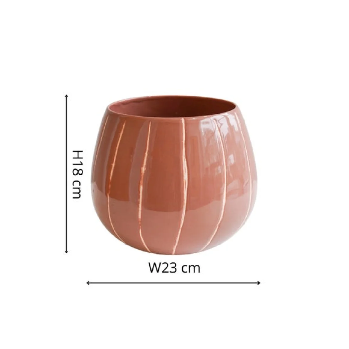 Nova Wax Relief Planter Rose – image 5