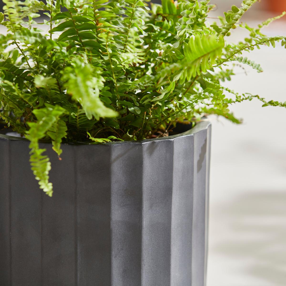 Small Fibre Clay Black Vertical Ribbed Pot Black – image 3