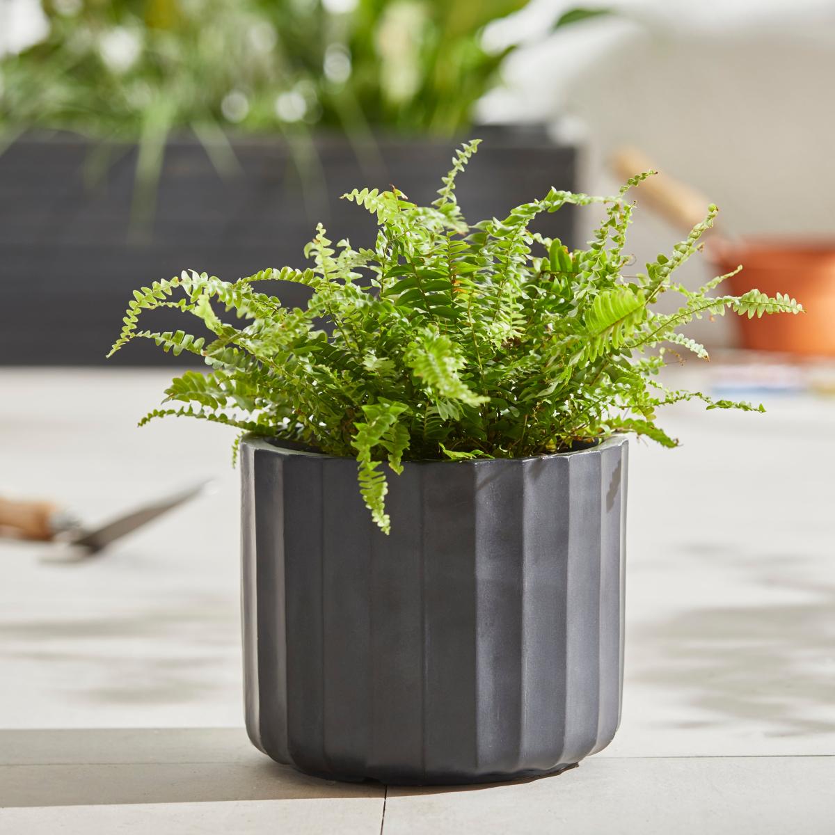 Small Fibre Clay Black Vertical Ribbed Pot Black – image 1