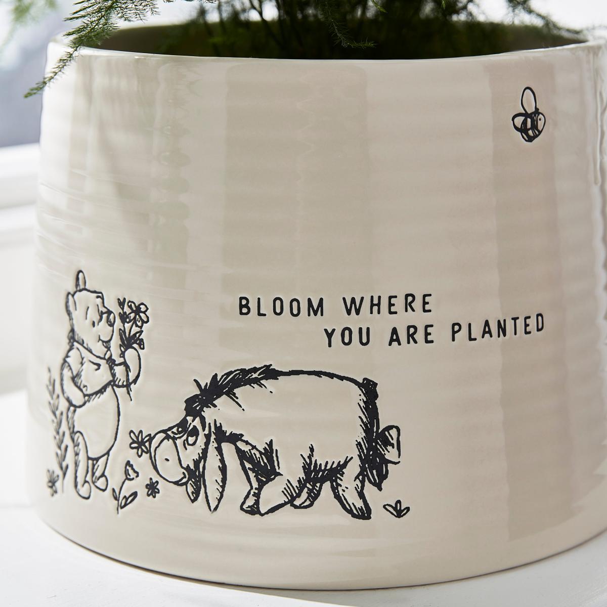 Disney Winnie the Pooh Debossed Plant Pot Cream – image 2