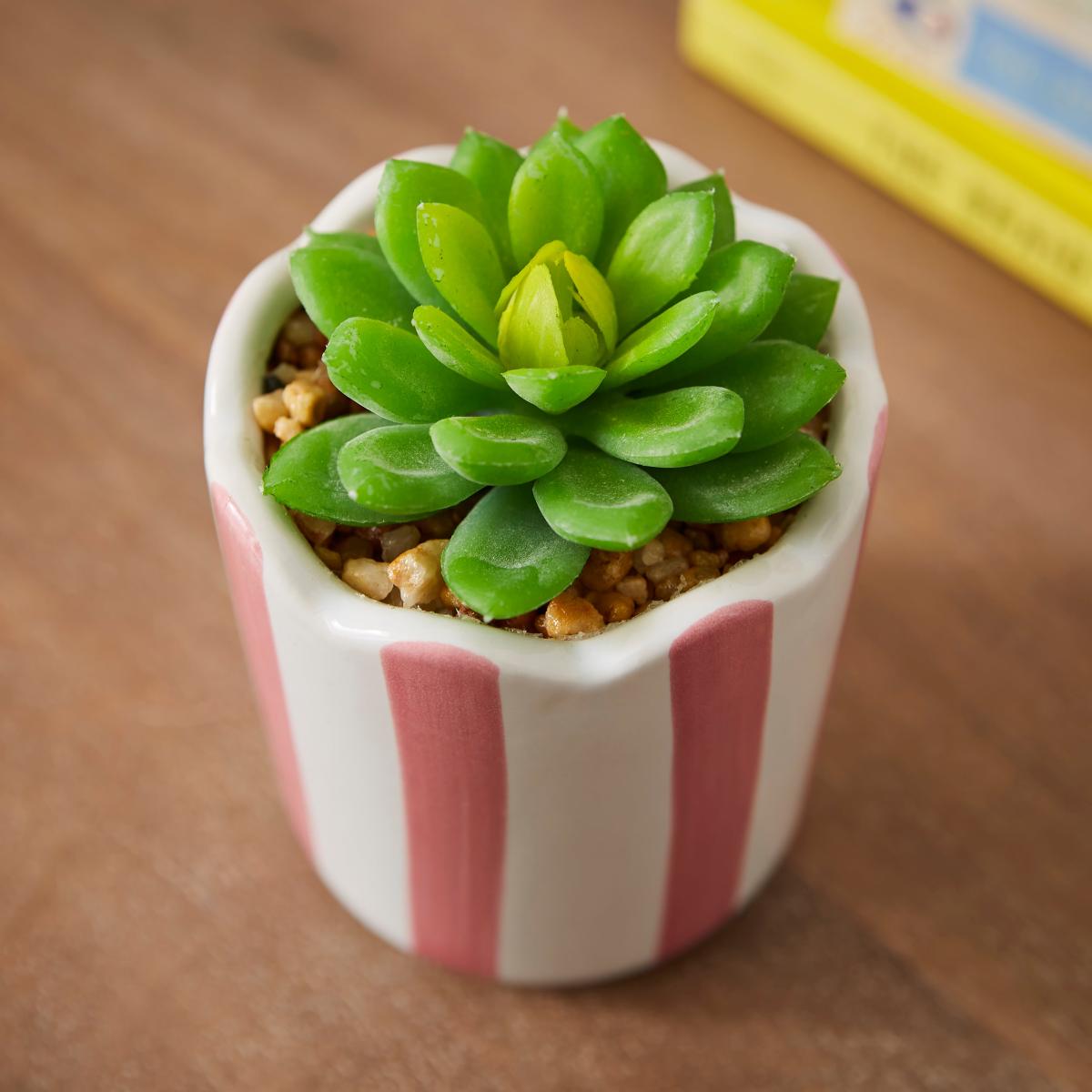 Artificial Succulent in Striped Ceramic Plant Pot – image 2