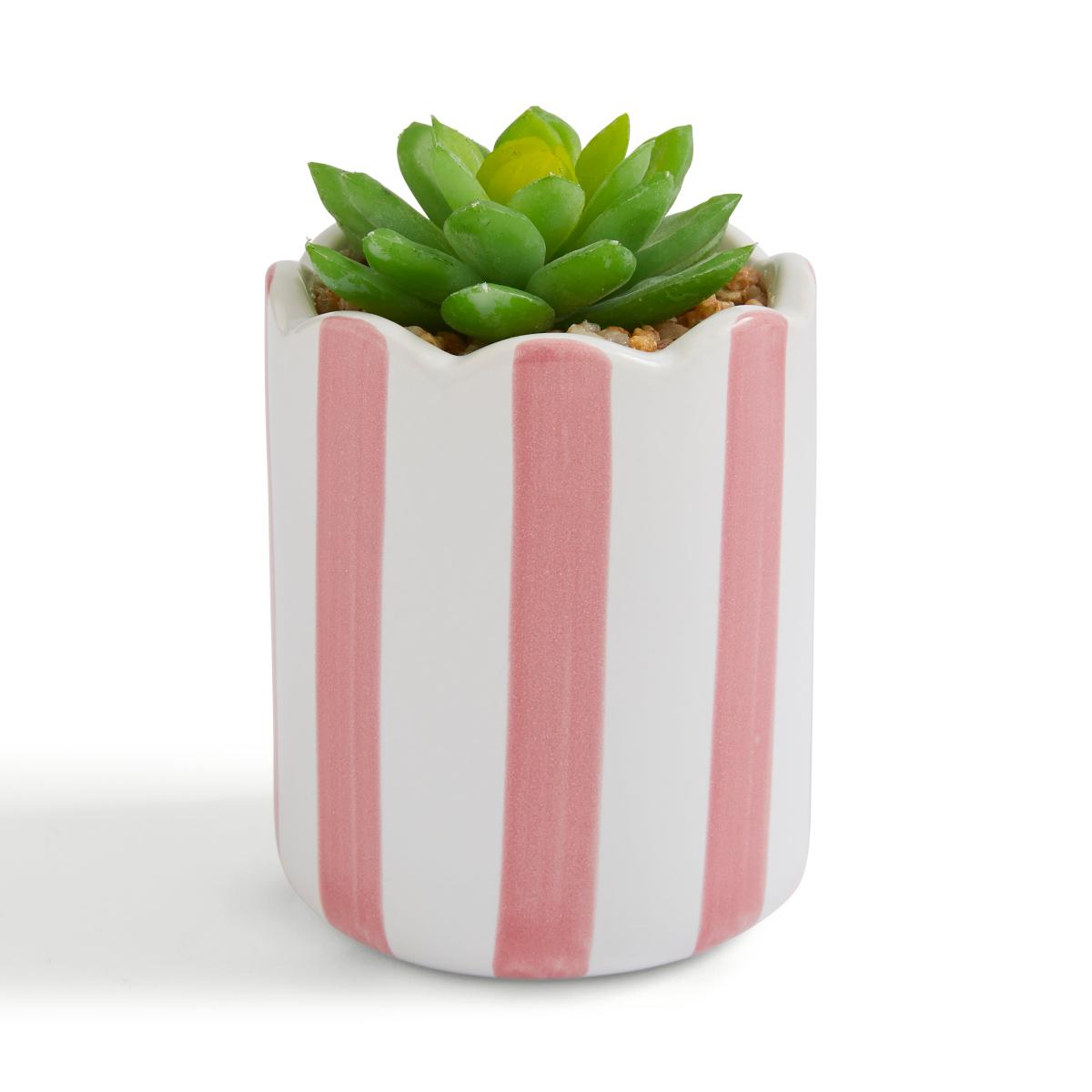 Artificial Succulent in Striped Ceramic Plant Pot – image 3