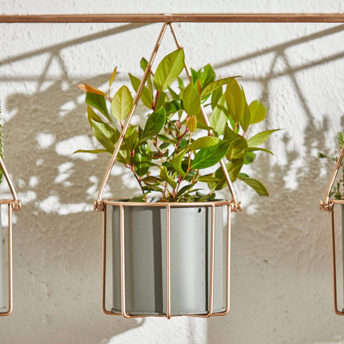Wire Wall Planter MultiColoured – image 3