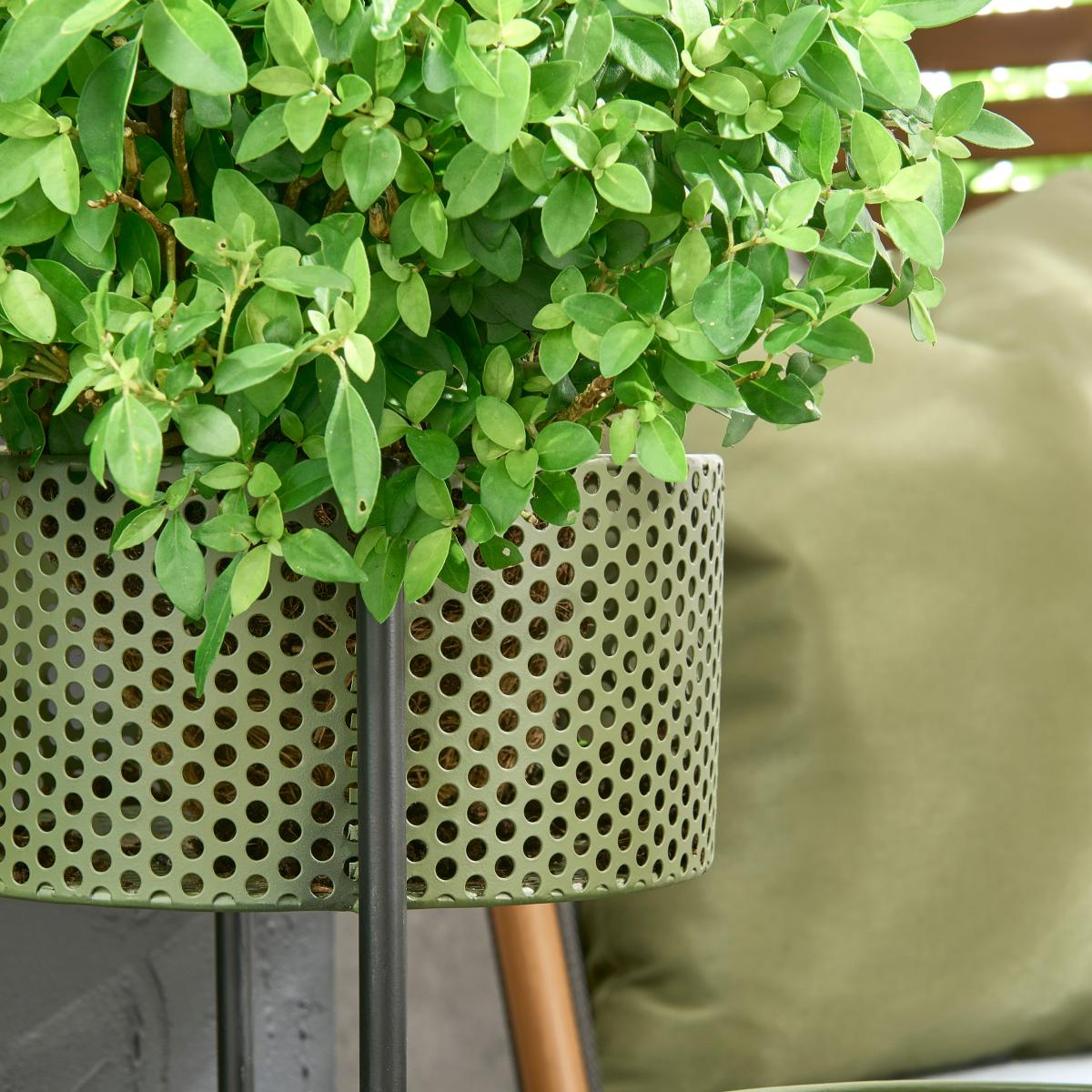 Elements Olive Foldable Plant Stand MultiColoured – image 2