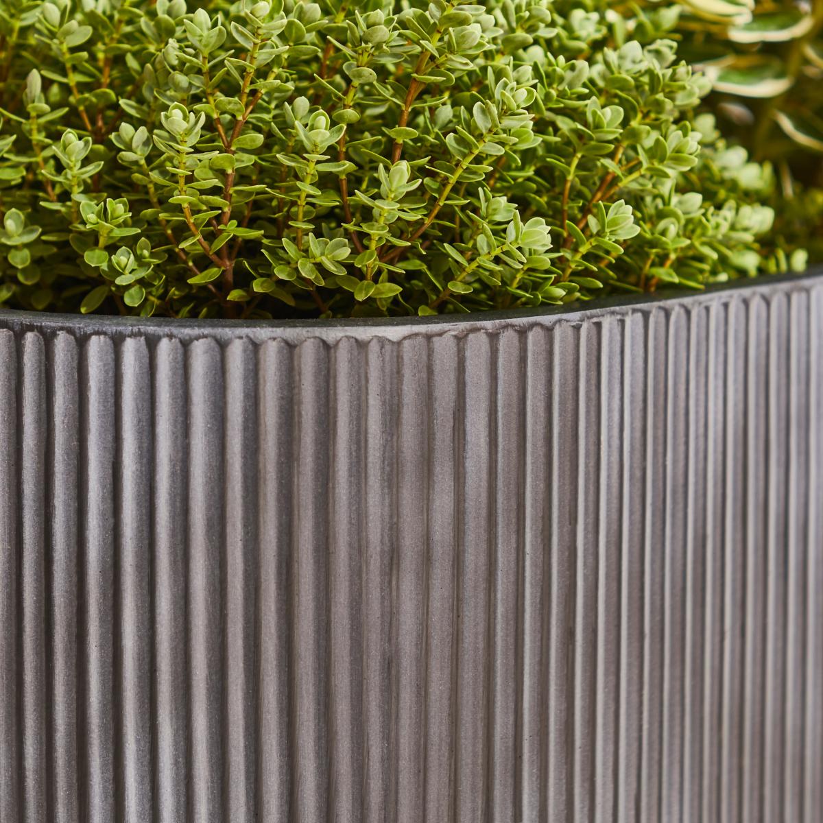 Large Fibre Clay Oval Pot with Base Black – image 3