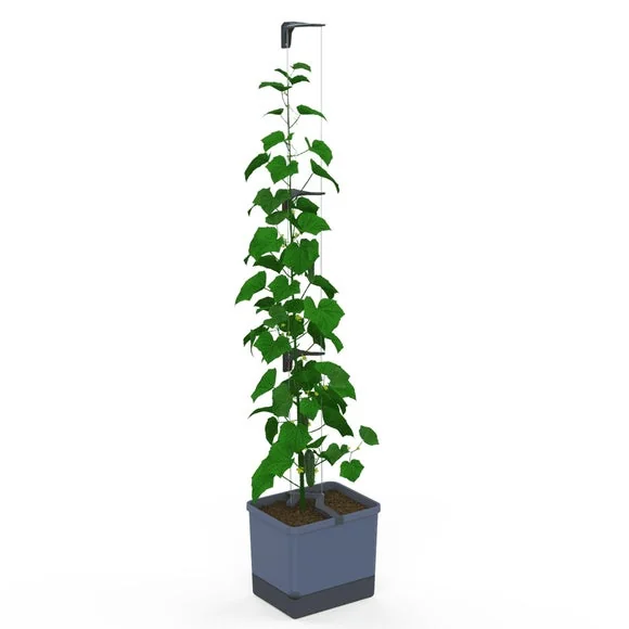 Gusta Garden Curt Cucumber Planter with Water Tank – image 2