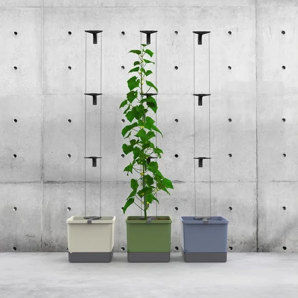 Gusta Garden Curt Cucumber Planter with Water Tank – image 3