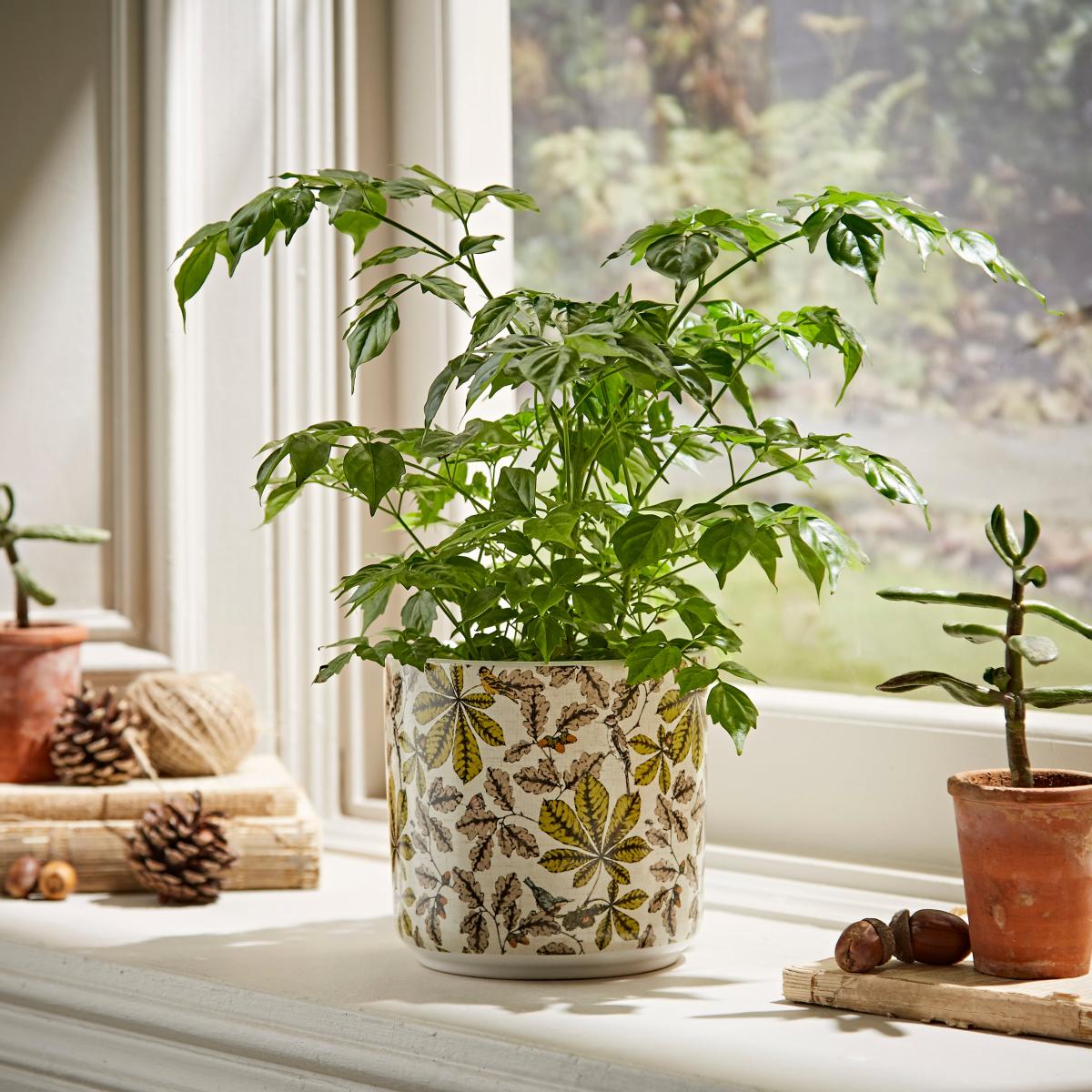 Woodland Plant Pot Large MultiColoured – image 1