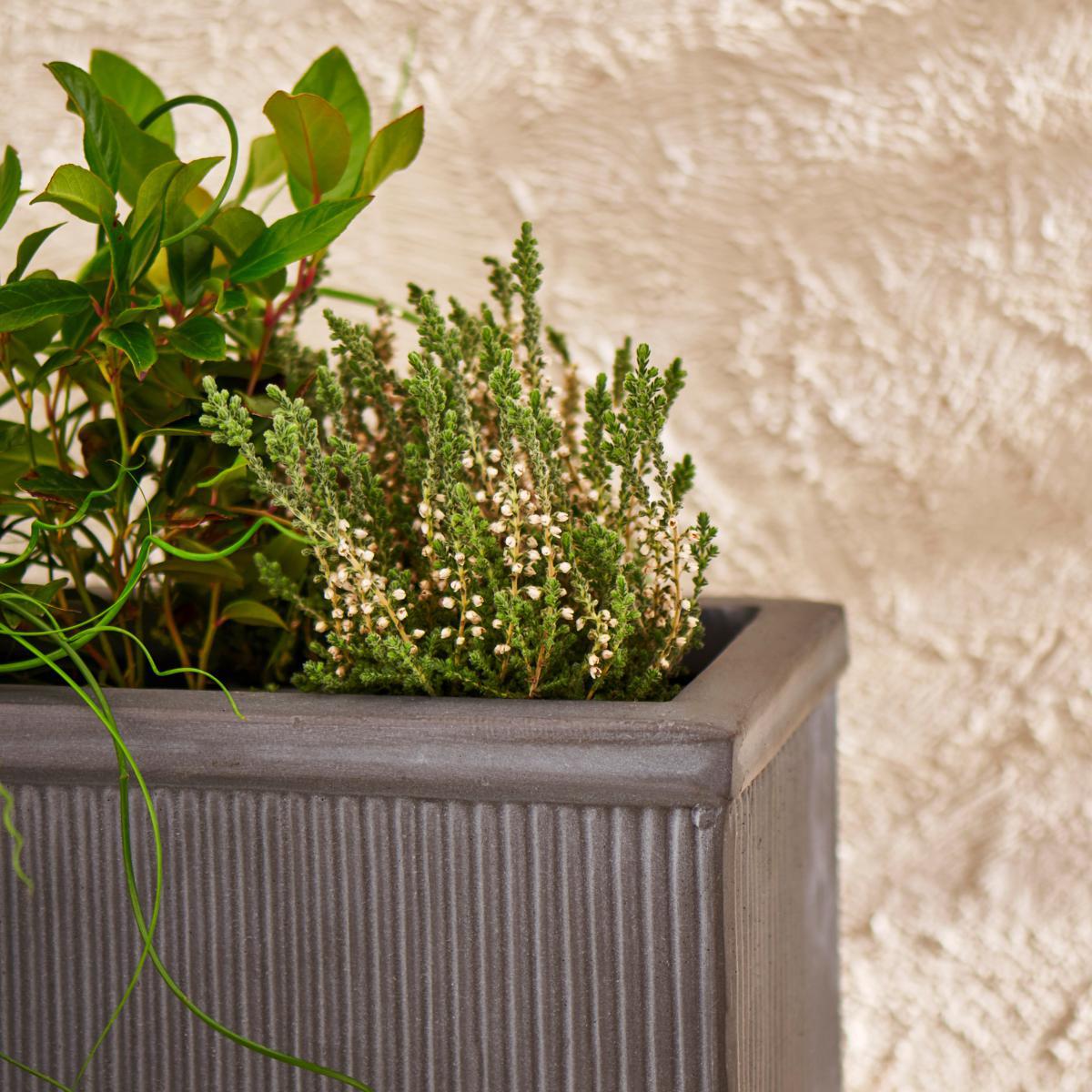 Small Fibre Clay Trough with a Ribbed Galvanised Effect Grey – image 2