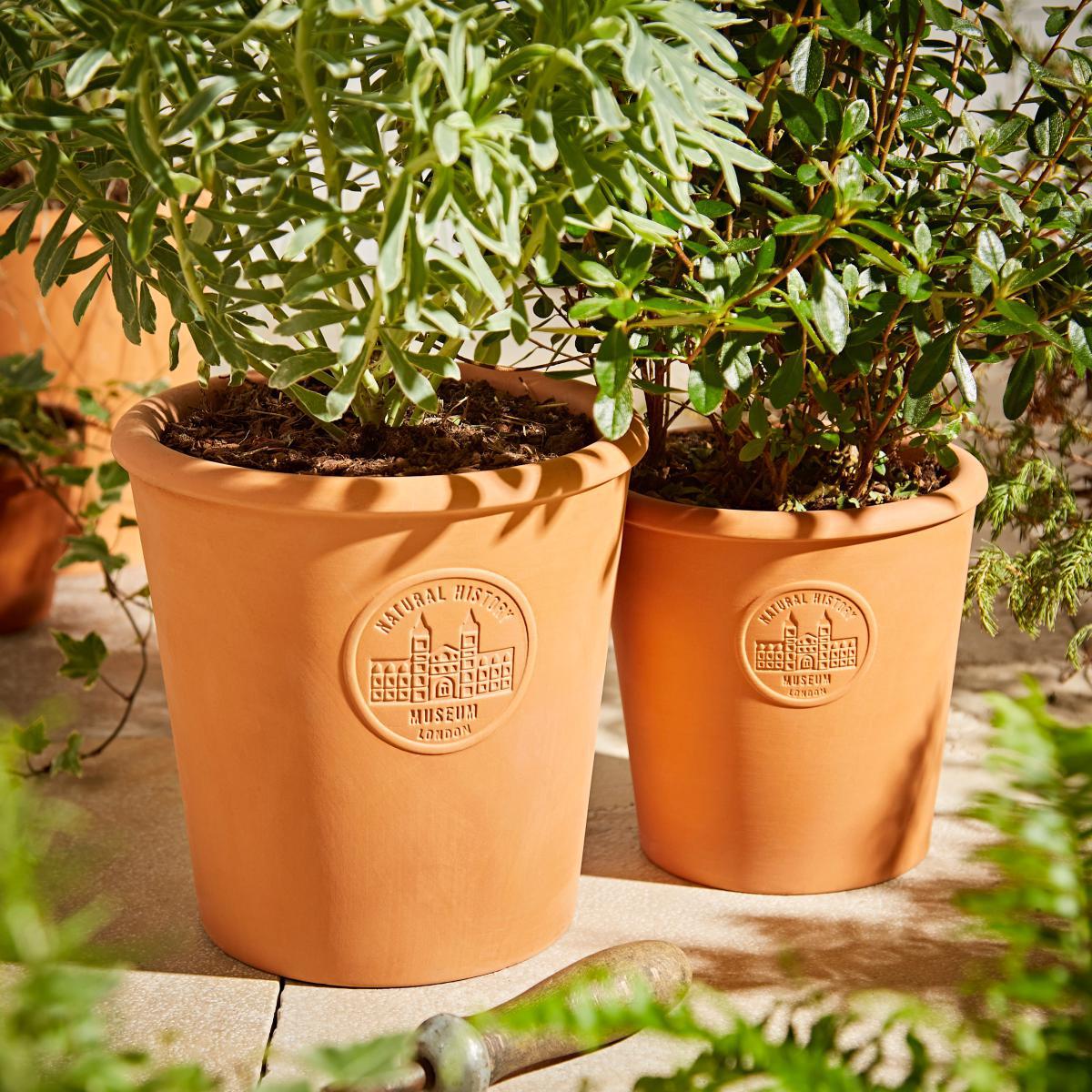 Terracotta Small Pot Terracotta – image 2