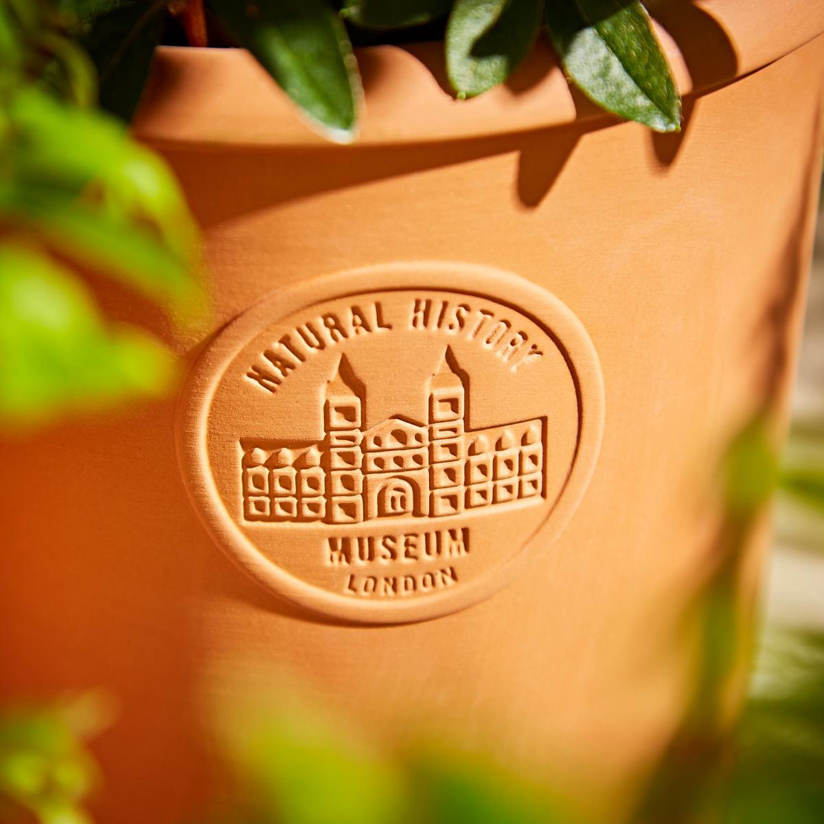 Terracotta Small Pot Terracotta – image 3