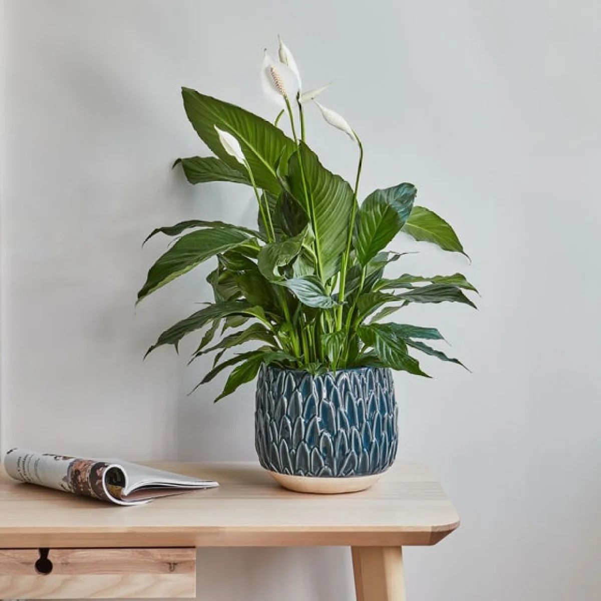 Arles Leaf Embossed Planter Teal (Green) – image 1