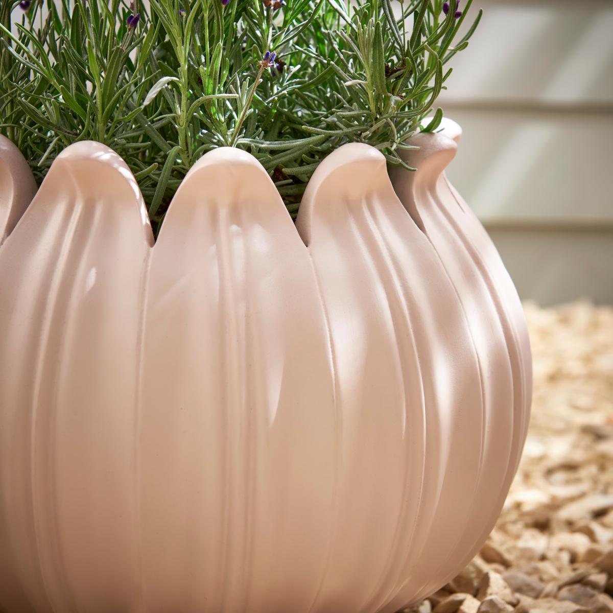 Poppy Head Planter Cream – image 2
